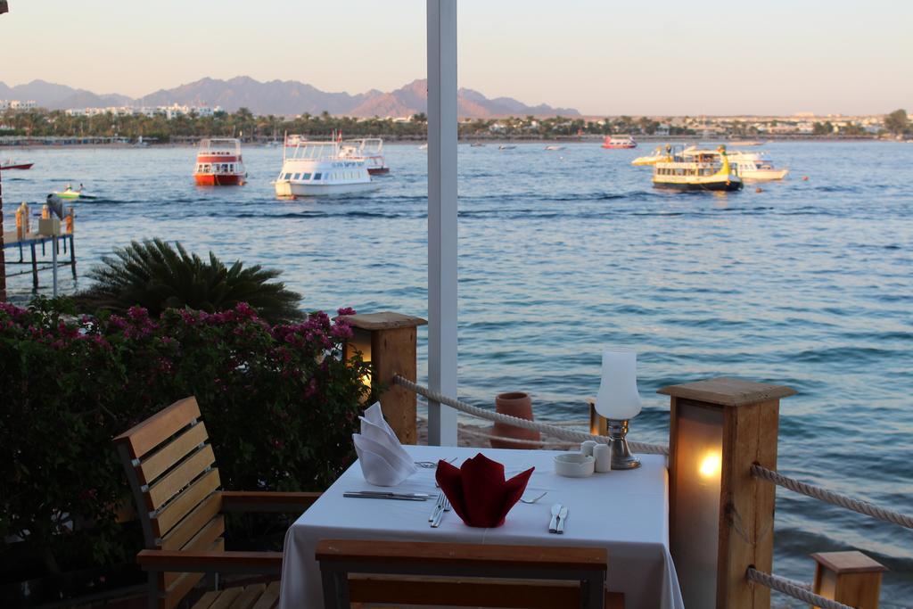 Lido Sharm Hotel Naama Bay Exteriör bild